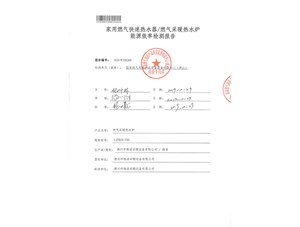 L1PB24-V9S國家燃氣用具質量監(jiān)督檢驗中心出具的能效檢驗報告