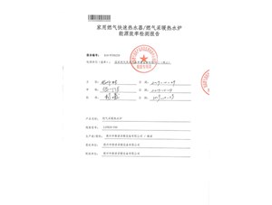 L1PB20-V9S國家燃氣用具質量監督檢驗中心出具的能效檢驗報告